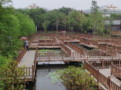-五缘湾湿地公园