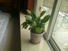 环境好-雲际仙境足浴·影院式·养生·SPA(火车站店)