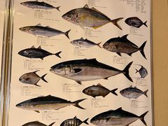 -镹·鱼料理  国产鱼使用店