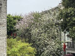 -荔湾湖公园