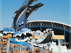 -泉城欧乐堡海洋极地世界