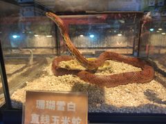-太奥幻太奇海洋馆