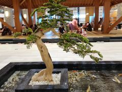 -天沐温泉(抚顺店)
