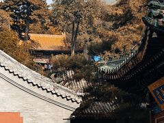-潭柘寺景区