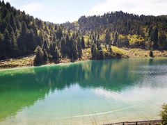 -武陵山森林公园