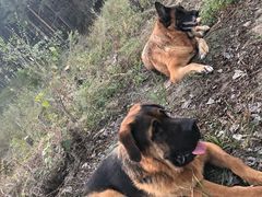 -宠颐生动物医院·心脏科·保险定点(锦阳分院)