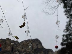 -黑龙潭风景区
