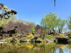 -石家庄市植物园