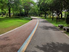 -顺峰山公园