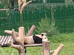 -沈阳森林动物园