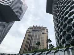-爱雍·乌节