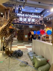 点击看大图 -鲁比猴非洲探索部落(喜盈门店)