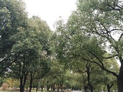 -白塘生态植物园