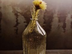 -元白和创园展厅