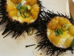 -海胆小馆(东北水饺·春柳店)