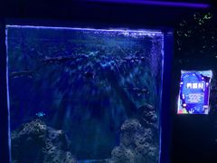 -白鹿仓冰雪海洋世界