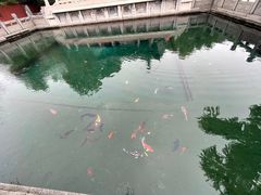 -百脉泉景区