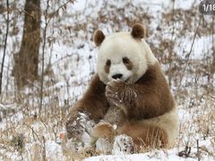 -沈阳森林动物园