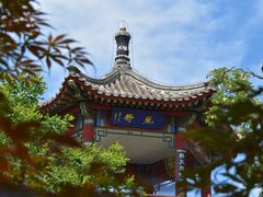 -莲花池公园