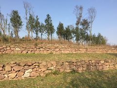 -白鹭湾湿地公园