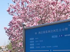 -泗泾镇社区文化活动中心