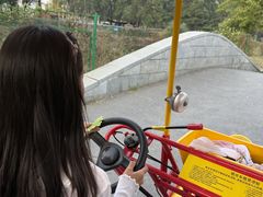 -长白岛森林公园