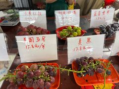 -马陆小张葡萄园农家乐