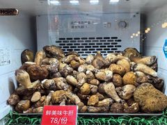 -太婆天府山珍酒楼(亚运村店)