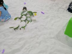 -上海大自然野生昆虫馆(东方明珠·爬宠昆虫探索中心)