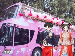 -InParty·游艇求婚策划生日派对布置(世纪大道店)