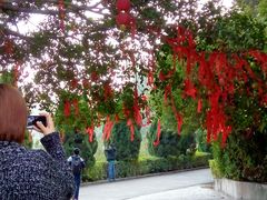 android_upload_pic-南沙天后宫景区