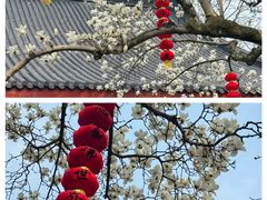 -杭州上天竺法喜讲寺