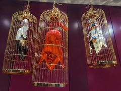-悦江(梅奔中心店)