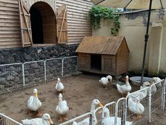 -HERRE·FARM 赫尔露营农场·团建聚会包场