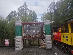 -莫尔道嘎国家森林公园