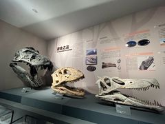 -自贡恐龙博物馆