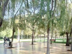 -长春公园(普阳街道)