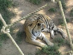 -西霞口神雕山野生动物世界