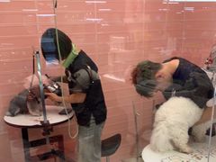 -FAELING PETS美天灵宠物(合生汇店)