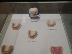 -柏乐口腔医院·舒适化无痛种植牙中心(东盟商务区院)