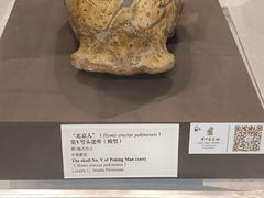-北京周口店北京人遗址博物馆