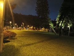 -荔湾湖公园