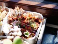 -良友书坊(安徽路店)