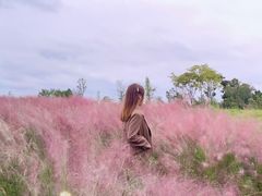 -桤木河湿地公园