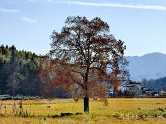 -塔川景区