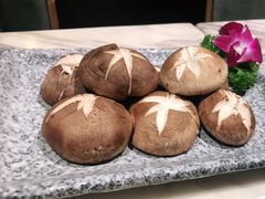 -同仁四季椰子鸡(福田东园总店)