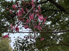 -敬亭山风景名胜区