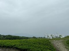 -渔桥李记奶汤面(东街店)