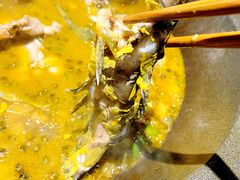 -石锅苗苗鱼(武汉首店)