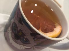 -飞行喵MR PILOT|猫舍·猫咖(静安大融城店)
